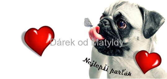 Hrnek Mops-Nejlepší parťák